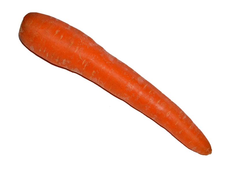 Carrot