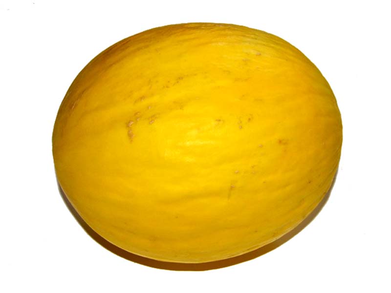 Melon