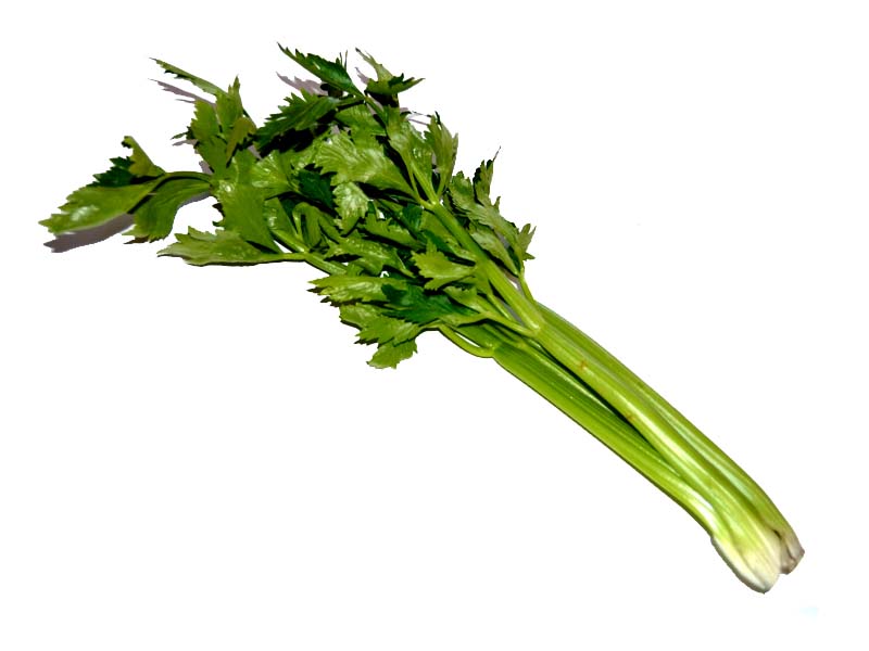 Celery